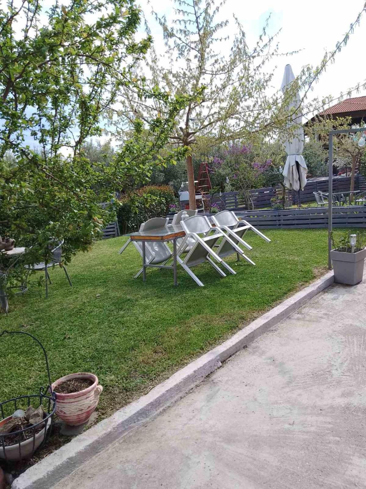 Agrikia Tis Vasilikis Apartment Ormilia Exterior photo
